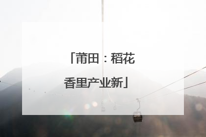莆田：稻花香里产业新
