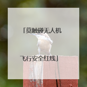 莫触碰无人机飞行安全红线