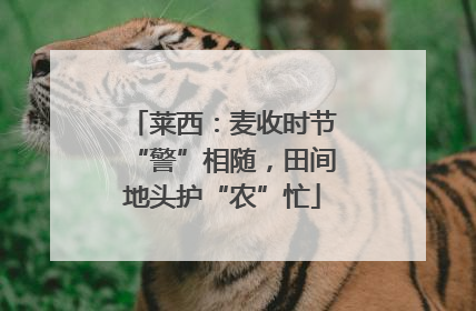 莱西：麦收时节“警”相随，田间地头护“农”忙