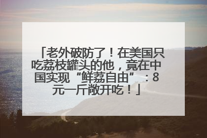 老外破防了！在美国只吃荔枝罐头的他，竟在中国实现“鲜荔自由”：8元一斤敞开吃！