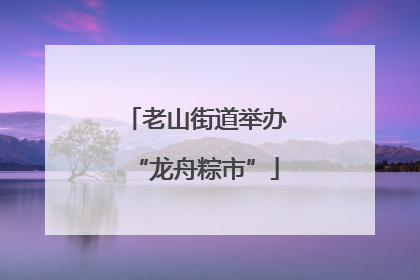 老山街道举办“龙舟粽市”
