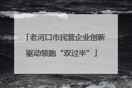 老河口市民营企业创新驱动领跑“双过半”