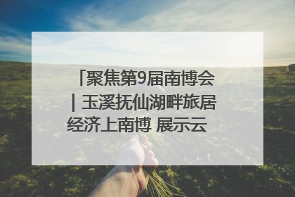 聚焦第9届南博会｜玉溪抚仙湖畔旅居经济上南博 展示云南生活新样本