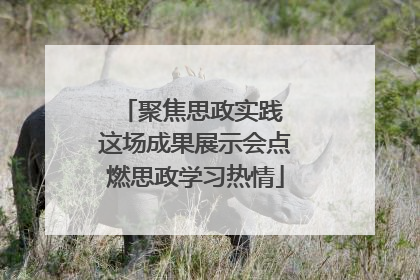 聚焦思政实践 这场成果展示会点燃思政学习热情
