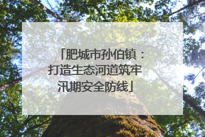 肥城市孙伯镇：打造生态河道筑牢汛期安全防线