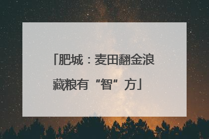 肥城：麦田翻金浪藏粮有“智”方