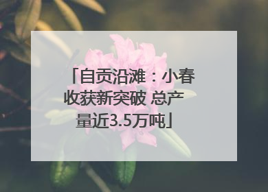 自贡沿滩：小春收获新突破 总产量近3.5万吨