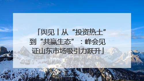 舆见丨从“投资热土”到“共赢生态”：峰会见证山东市场吸引力跃升