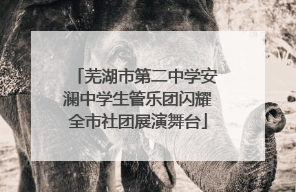 芜湖市第二中学安澜中学生管乐团闪耀全市社团展演舞台