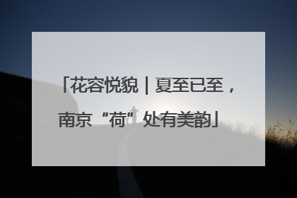 花容悦貌｜夏至已至，南京“荷”处有美韵