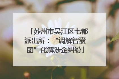 苏州市吴江区七都派出所：“调解智囊团”化解涉企纠纷