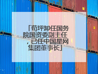 苟坪卸任国务院国资委副主任，已任中国星网集团董事长