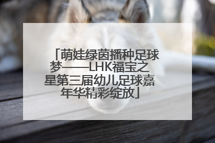 萌娃绿茵播种足球梦——LHK福宝之星第三届幼儿足球嘉年华精彩绽放