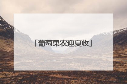 葡萄果农迎夏收
