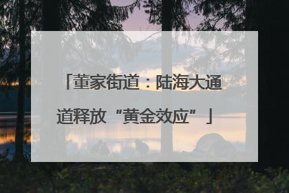 董家街道：陆海大通道释放“黄金效应”