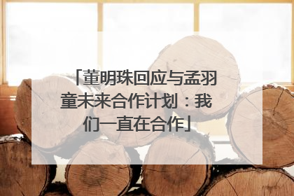 董明珠回应与孟羽童未来合作计划：我们一直在合作