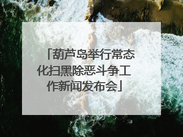 葫芦岛举行常态化扫黑除恶斗争工作新闻发布会