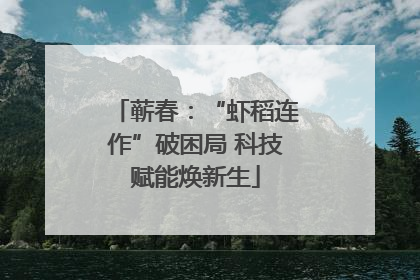 蕲春：“虾稻连作”破困局 科技赋能焕新生