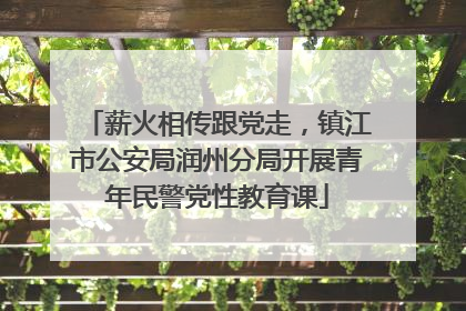 薪火相传跟党走，镇江市公安局润州分局开展青年民警党性教育课