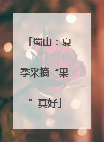 蜀山：夏季采摘“果”真好
