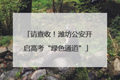 请查收！潍坊公安开启高考“绿色通道”