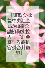 证监会批复中央汇金成为8家金融机构实控人，“汇金系”券商扩容引合并遐想