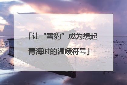 让“雪豹”成为想起青海时的温暖符号
