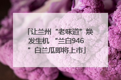 让兰州“老味道”焕发生机 “兰白946”白兰瓜即将上市