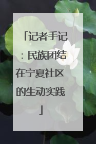 记者手记：民族团结在宁夏社区的生动实践