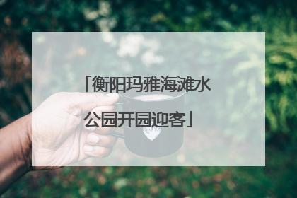 衡阳玛雅海滩水公园开园迎客