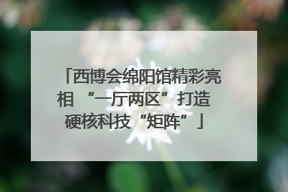 西博会绵阳馆精彩亮相 “一厅两区”打造硬核科技“矩阵”
