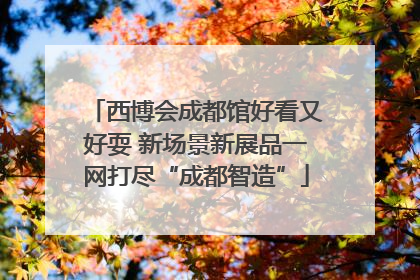 西博会成都馆好看又好耍 新场景新展品一网打尽“成都智造”