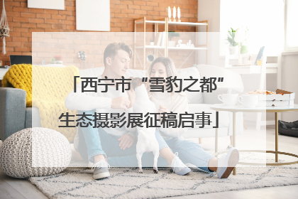 西宁市“雪豹之都”生态摄影展征稿启事