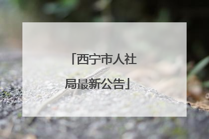 西宁市人社局最新公告