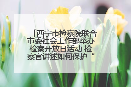 西宁市检察院联合市委社会工作部举办检察开放日活动 检察官讲述如何保护“少年的你”