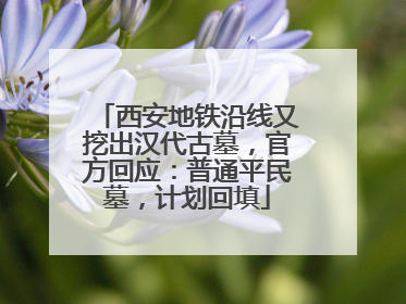 西安地铁沿线又挖出汉代古墓，官方回应：普通平民墓，计划回填