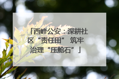 西峰公安：深耕社区“责任田” 筑牢治理“压舱石”