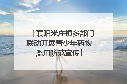 襄阳米庄镇多部门联动开展青少年药物滥用防范宣传