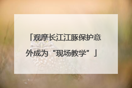 观摩长江江豚保护意外成为“现场教学”