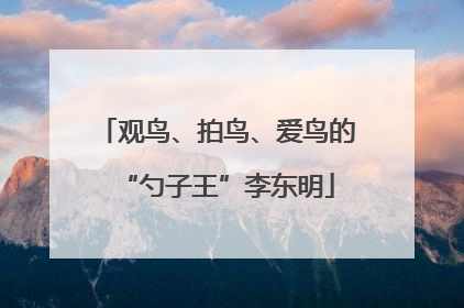 观鸟、拍鸟、爱鸟的“勺子王”李东明