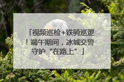 视频巡检+铁骑巡逻！端午期间，冰城交警守护“在路上”