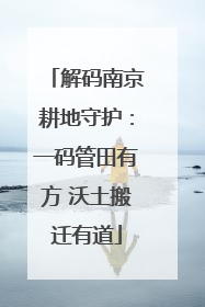 解码南京耕地守护：一码管田有方 沃土搬迁有道