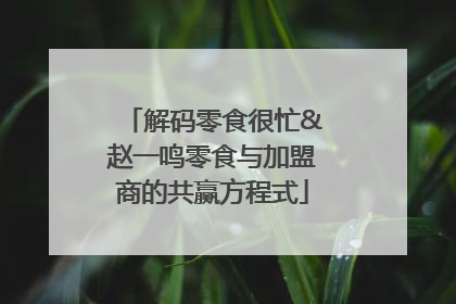 解码零食很忙&赵一鸣零食与加盟商的共赢方程式