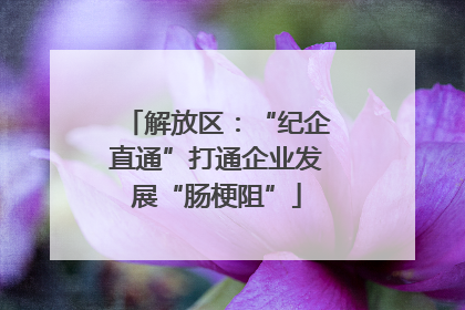 解放区：“纪企直通”打通企业发展“肠梗阻”