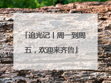 追光记丨周一到周五，欢迎来齐鲁