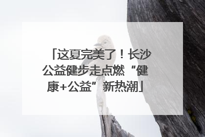 这夏完美了！长沙公益健步走点燃“健康+公益”新热潮