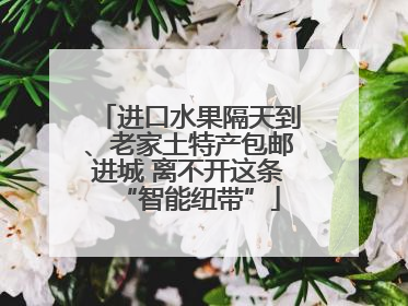 进口水果隔天到、老家土特产包邮进城 离不开这条“智能纽带”