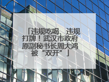 违规吃喝、违规打牌！武汉市政府原副秘书长周大鸿被“双开”