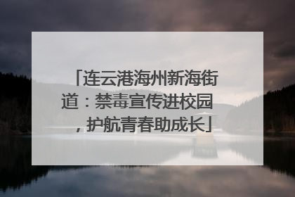 连云港海州新海街道：禁毒宣传进校园，护航青春助成长