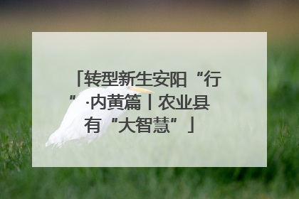 转型新生安阳“行”·内黄篇丨农业县有“大智慧”